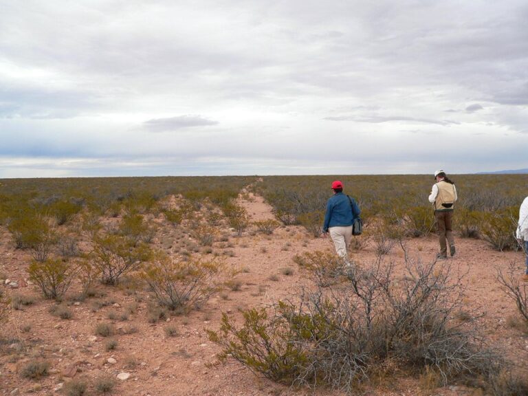 A couple walking along a desert trail at Yost Draw in Sierra County, New Mexico